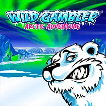 Wild Gambler 2